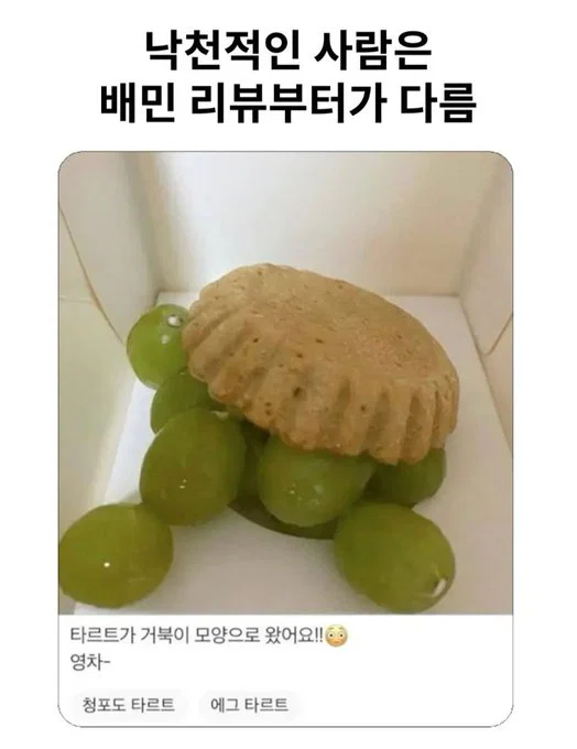 미용실 보냈는데 푸들이 실종되고 아기양으로 돌아왔습니다 (27)