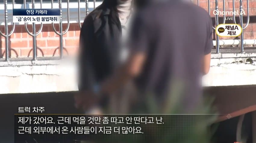 채널a) 송이버섯 1kg에 160만원...밤낮 추격전 (23)