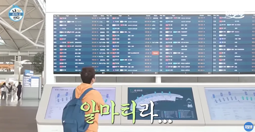 11_18.png 도파민 터지는 전현무의 무계획 즉흥여행 ㄷㄷㄷㄷㄷㄷㄷㄷ.jpg