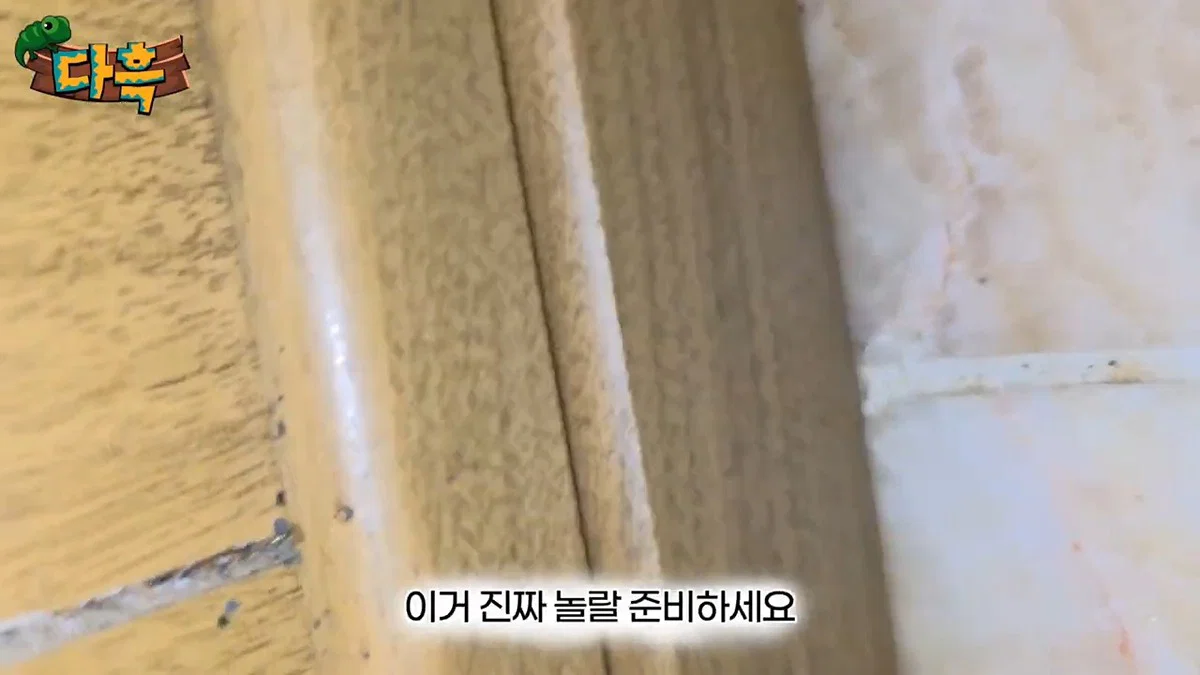부산 찜질방 빈대 이슈 업로드한 유튜버 다흑... (32)