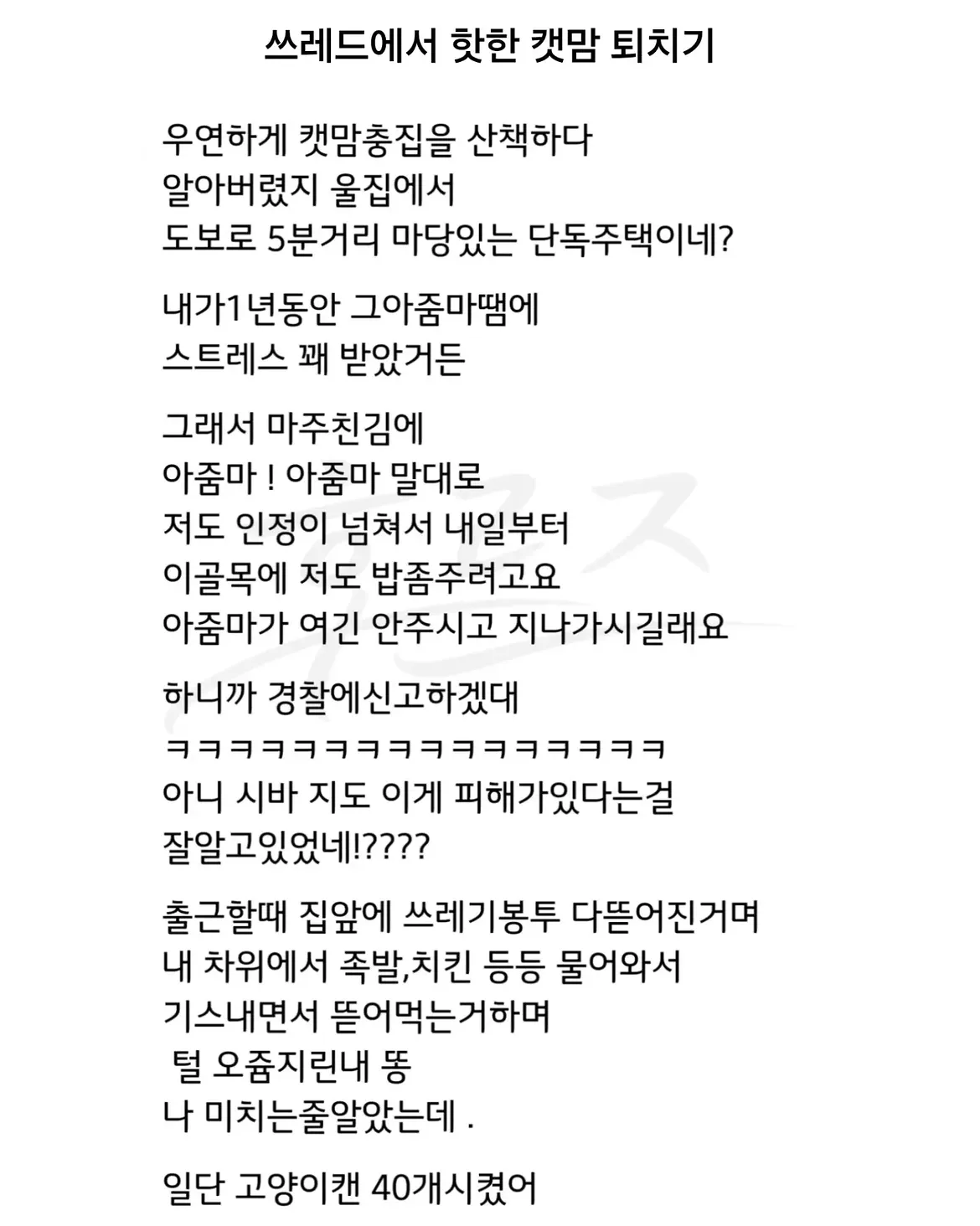 싱글벙글 캣맘 처리법