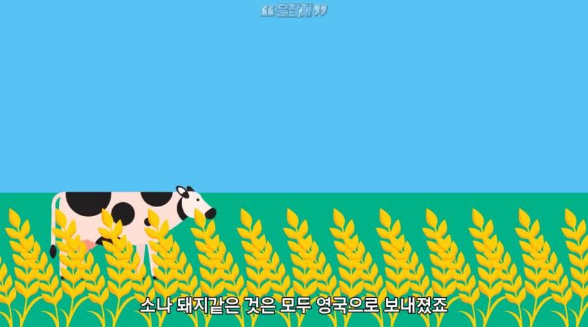 인구가 절반으로 줄어든 사연 (7)