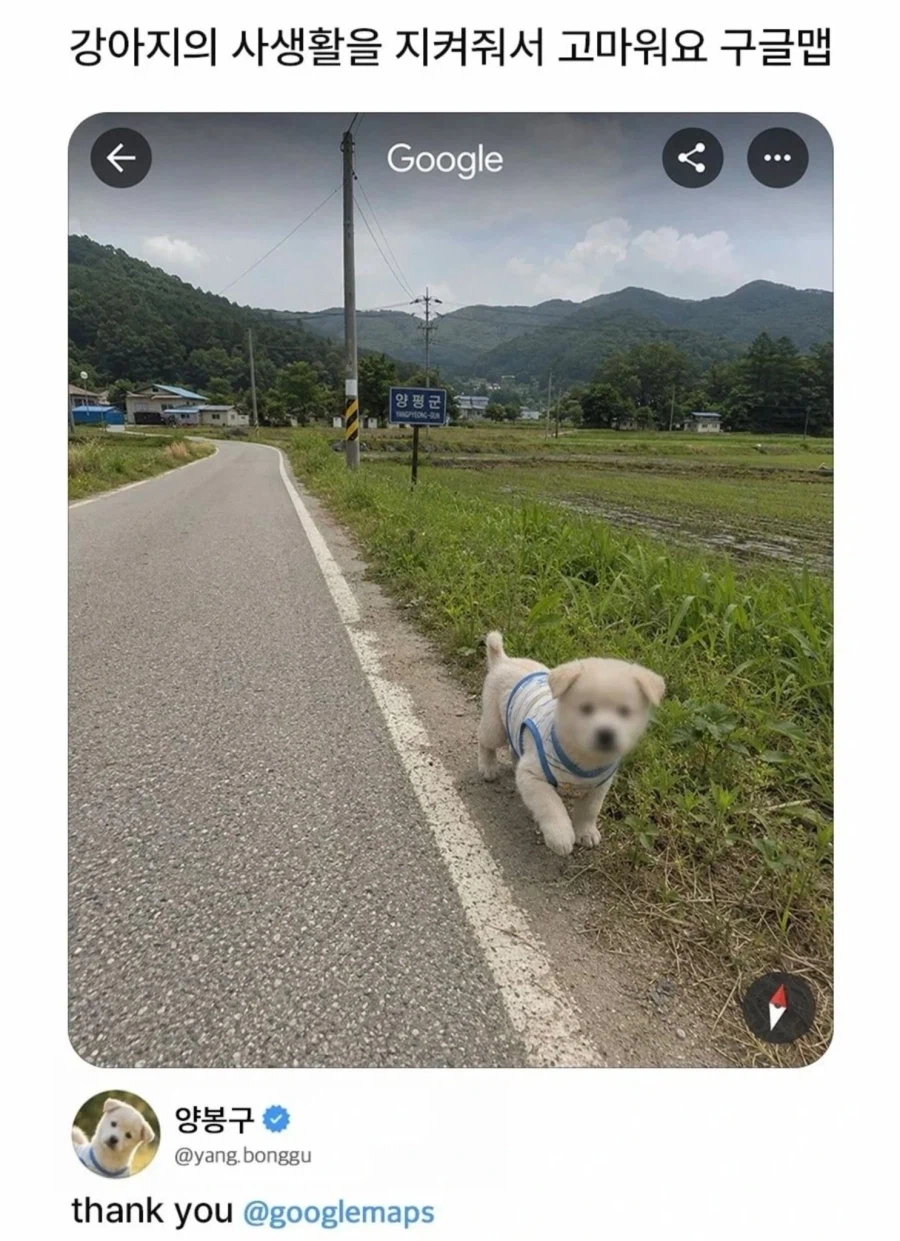 구글맵의 섬세한 배려_1.webp