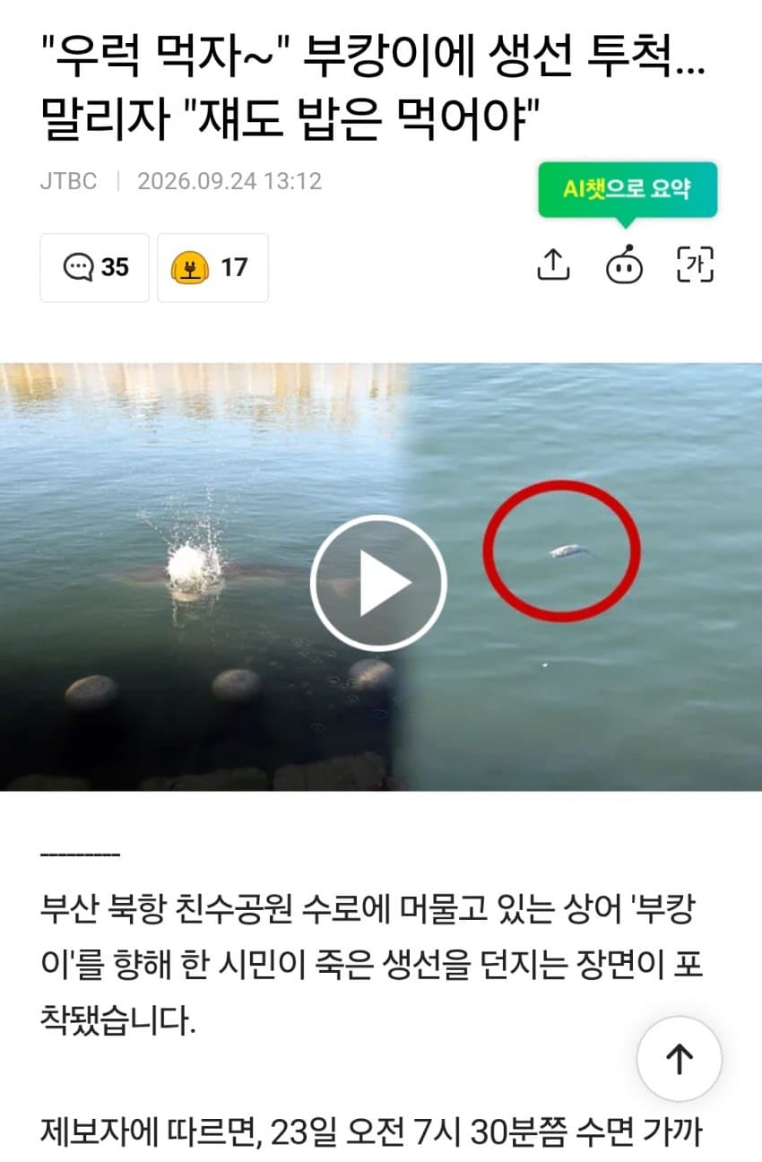 "우럭 먹자~" 부캉이에 생선 투척한 부산 시민