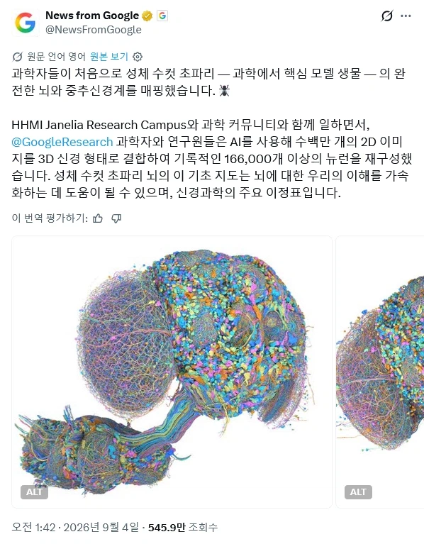 초파리 뇌 지도가 완성되자 하는 것