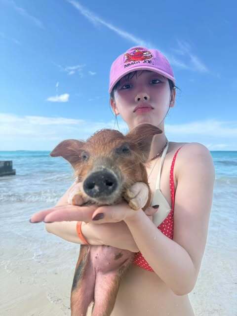 카리나 돼지새끼
