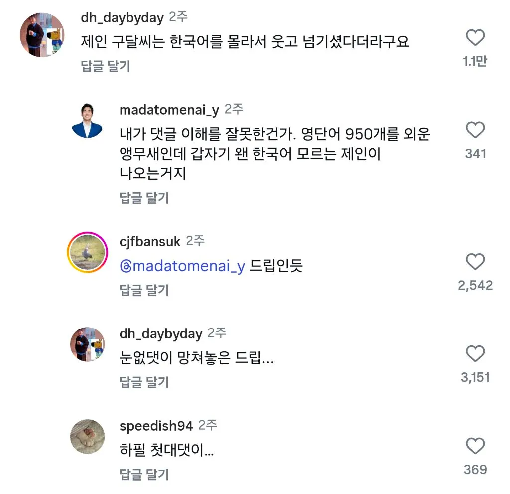 950단어 말하는 앵무새의 한 마디