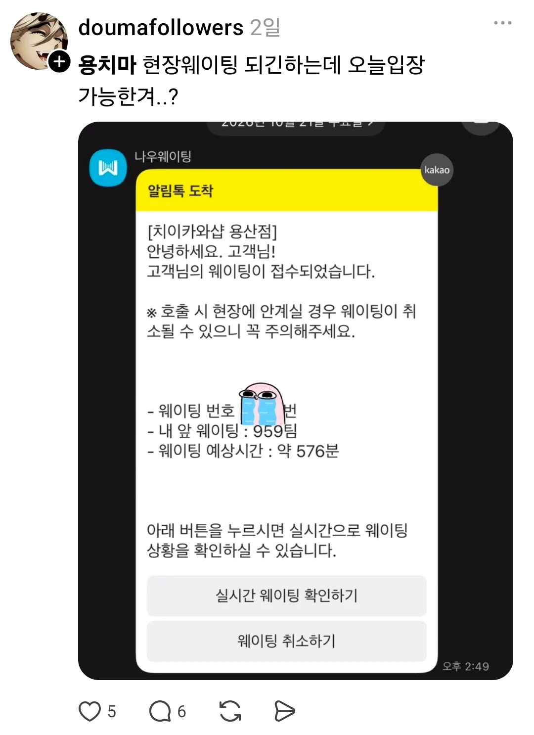 치이카와샾 근황 (2)