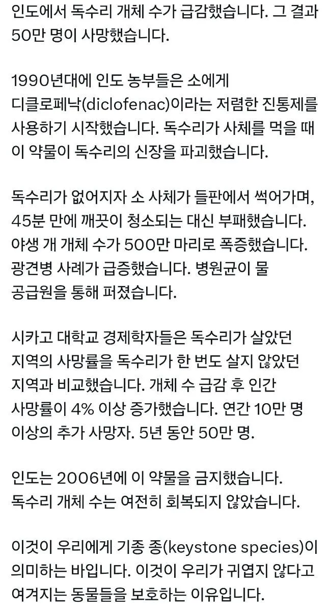 인도에서 독수리 수가 급감하자 벌어진 일들