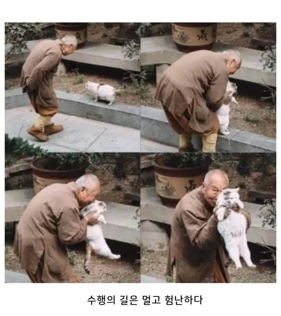 모든 욕망을 끊어낸 스님도 못참는것