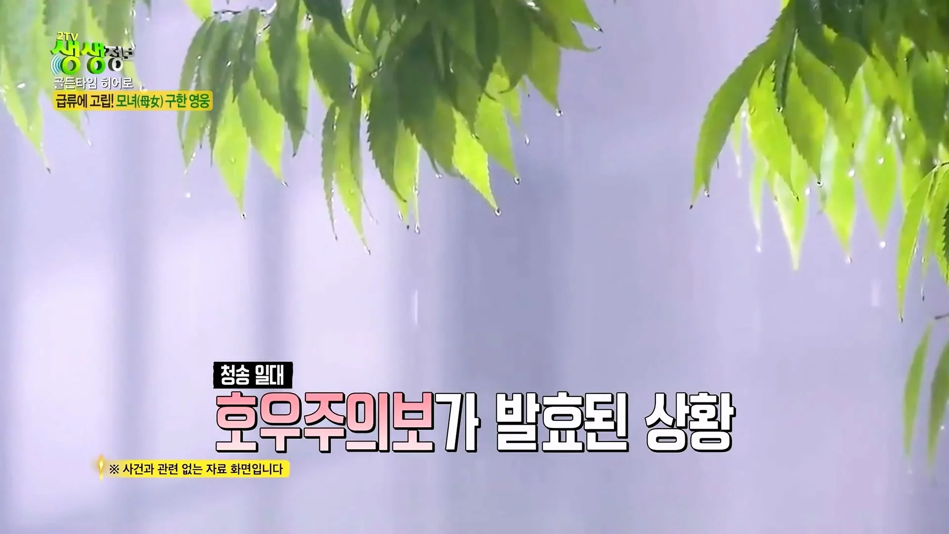 크레인으로 급류에 떠내려가는 모녀 구출했다는 크레인 기사 (19)