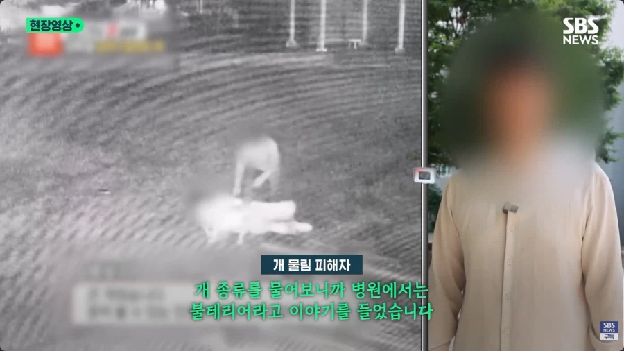 개물림 사고를 낸 견주의 황당한 주장 (5)