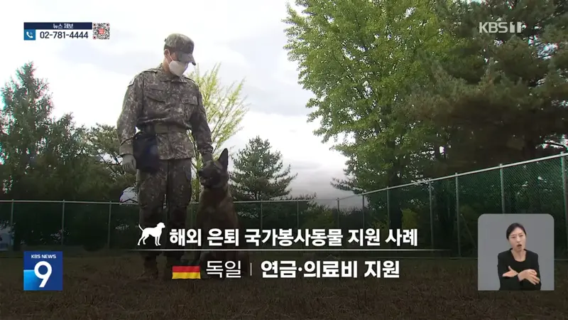 국가 위해 헌신한 퇴역견…은퇴 후 관리는 ‘나몰라라’ (7)