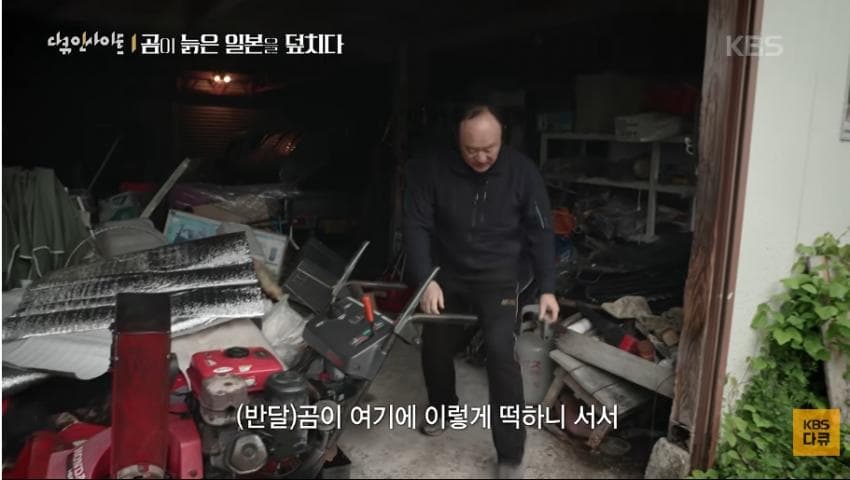 곰이 늙은 일본을 덮치다. 여고생 덮친 아키타 반달곰,, (13)
