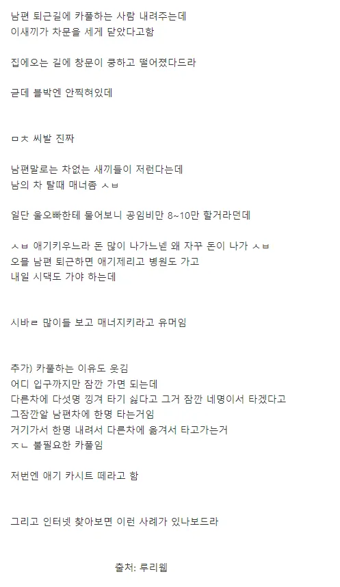ㅁㅊ새끼 때문에 남편 창문 떨어짐.jpg