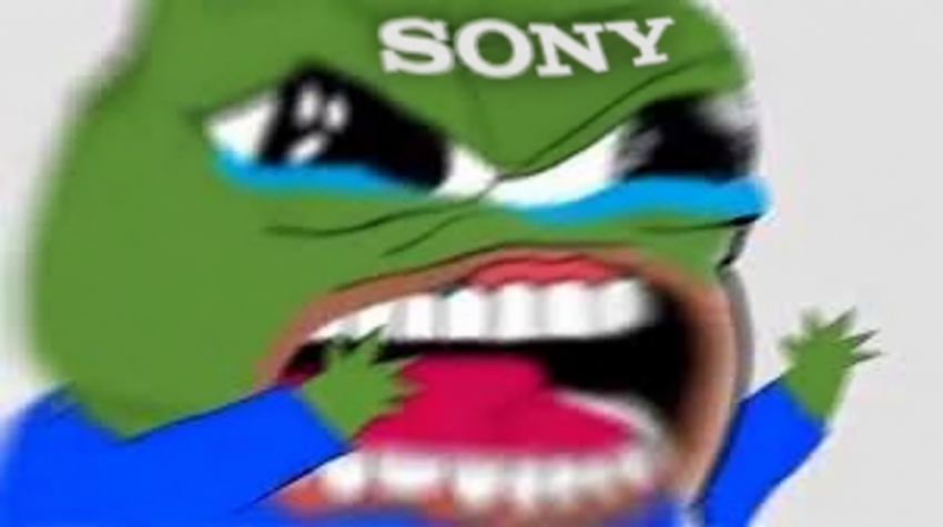 진짜 개ㅈ된 플스 근황 (8)