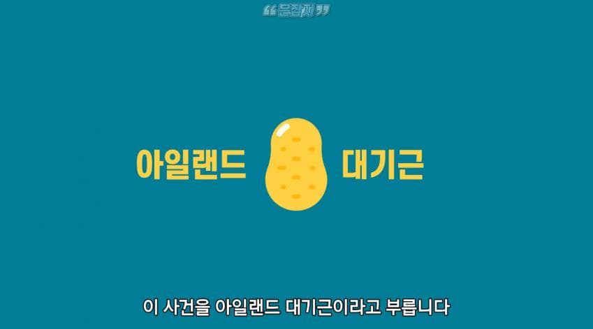 인구가 절반으로 줄어든 사연 (4)