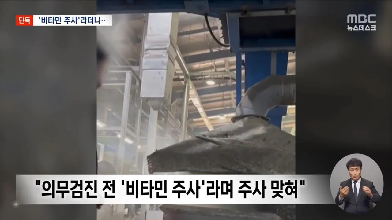 비타민 주사로 위장한 중금속 배출 주사 (2)