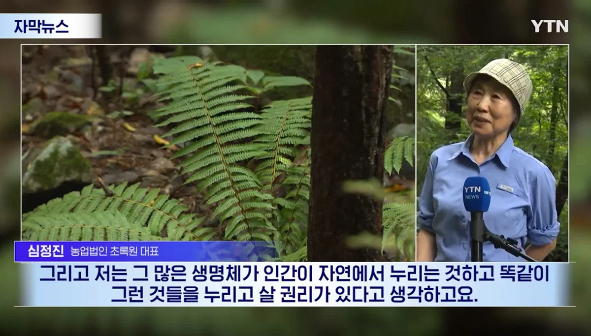 수십억 들여 숲 사놓고 아무것도 안한 이유 (11)