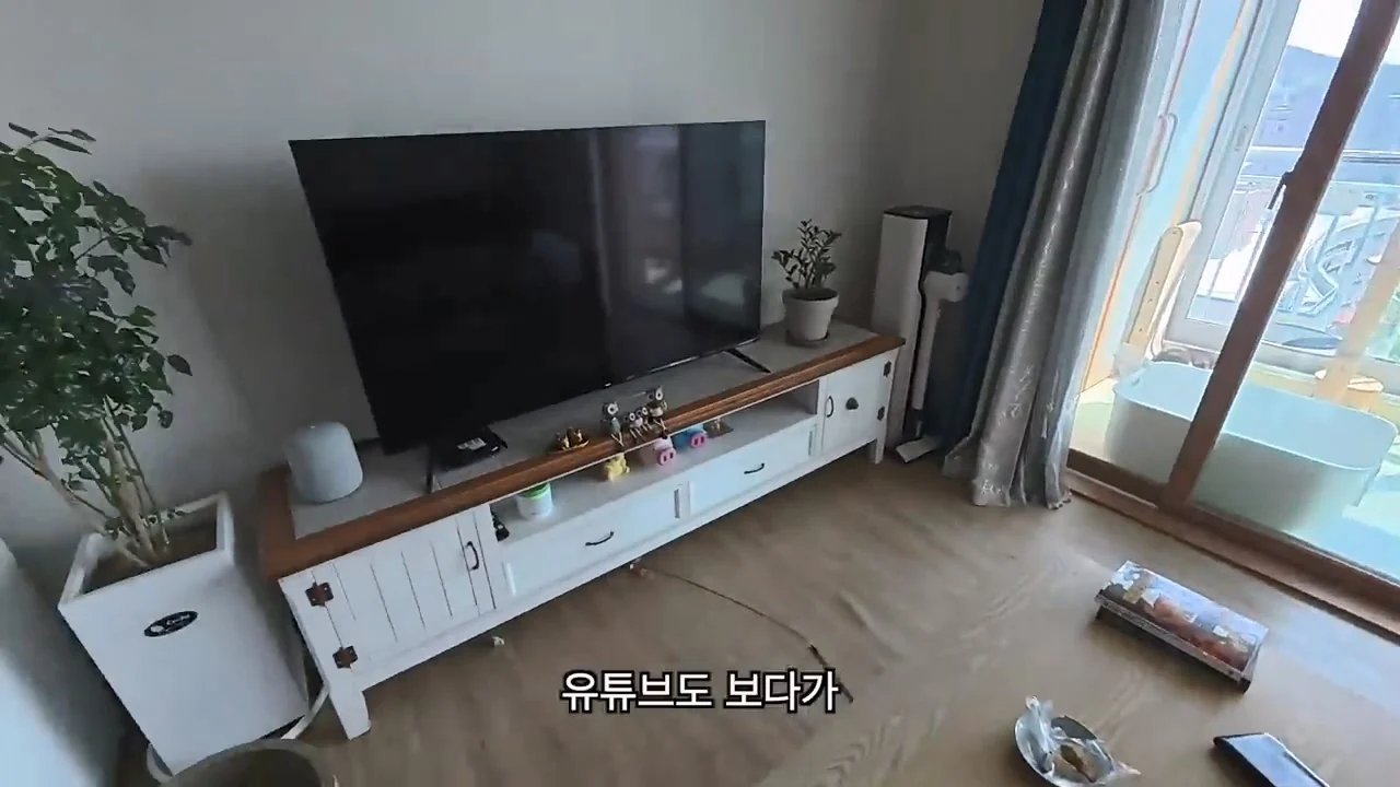 해외여행으로 가진돈 다 써버린 여행 유튜버 근황 (14)