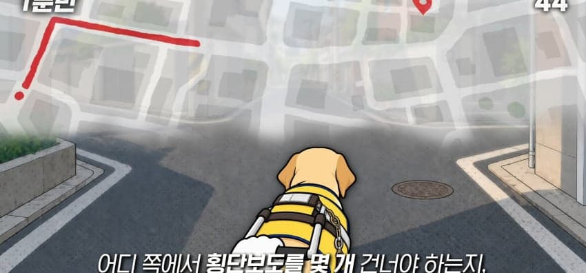 안내견은 목적지를 어떻게 아는 걸까? (10)