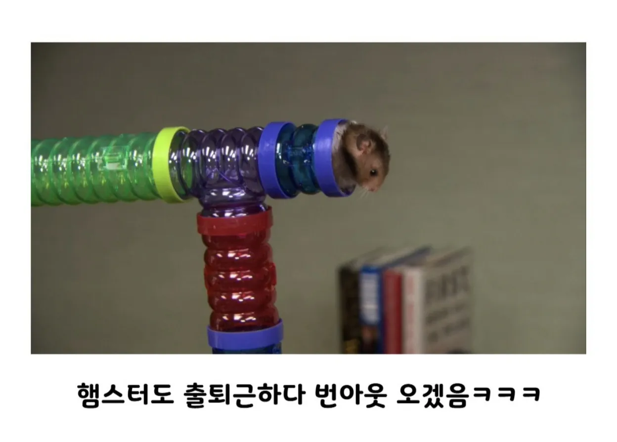 햄스터도 번아웃 오게 만드는 회사 (2)