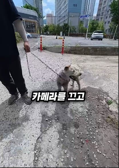 평생 목욕 한번 안 해본 차고지 지킴이 2살 한성이의 생애 첫 목욕대작전 (33)