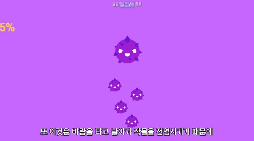 인구가 절반으로 줄어든 사연 (23)