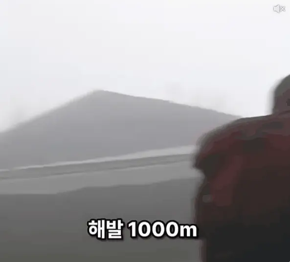 해발 1000m 산속 편의점..라면값이 0원인 이유..