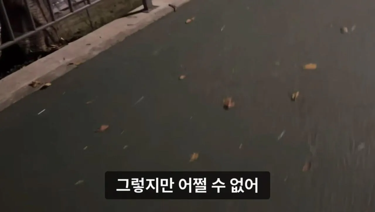 군대 안 가본 여자의 20kg 20km 행군 도전