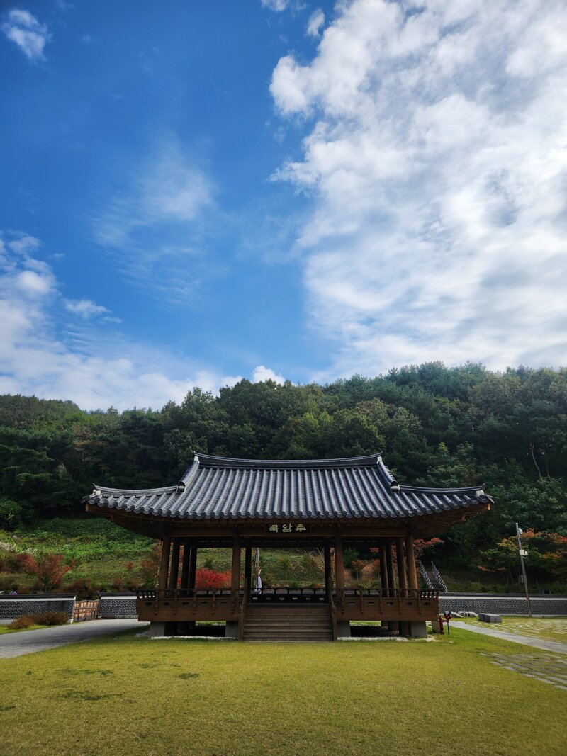 실시간 김천 직지사 풍경 (3)