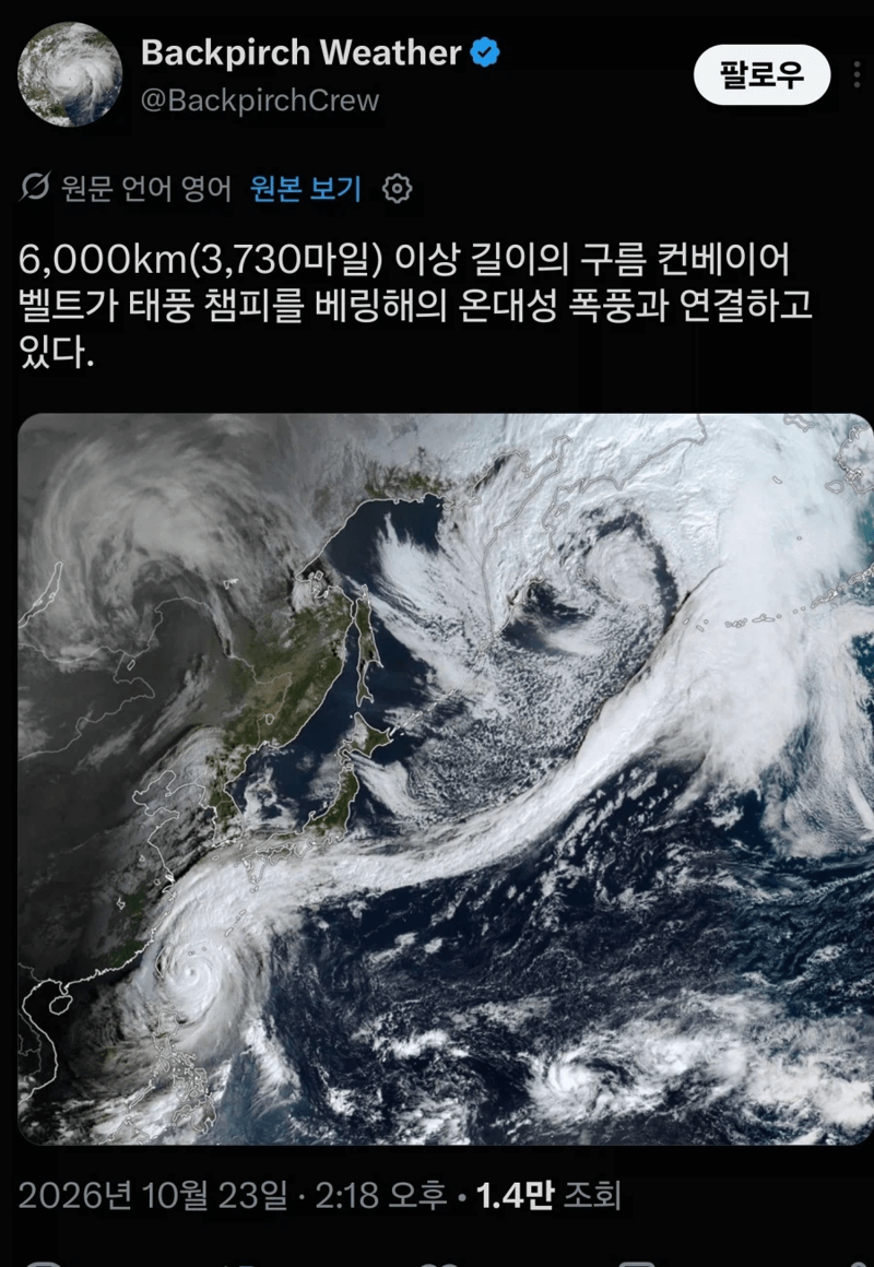 엄청난 태풍이라는 '참피' 근황