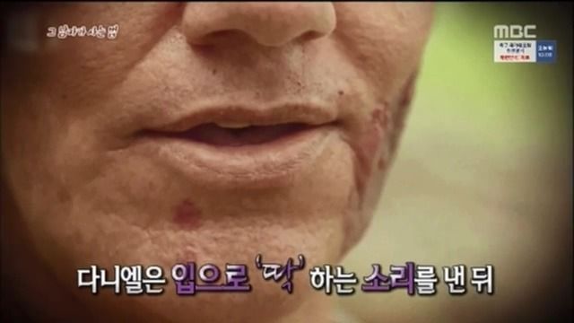 싱글벙글 리신이 음파 잘 맞히는 비법 (18)