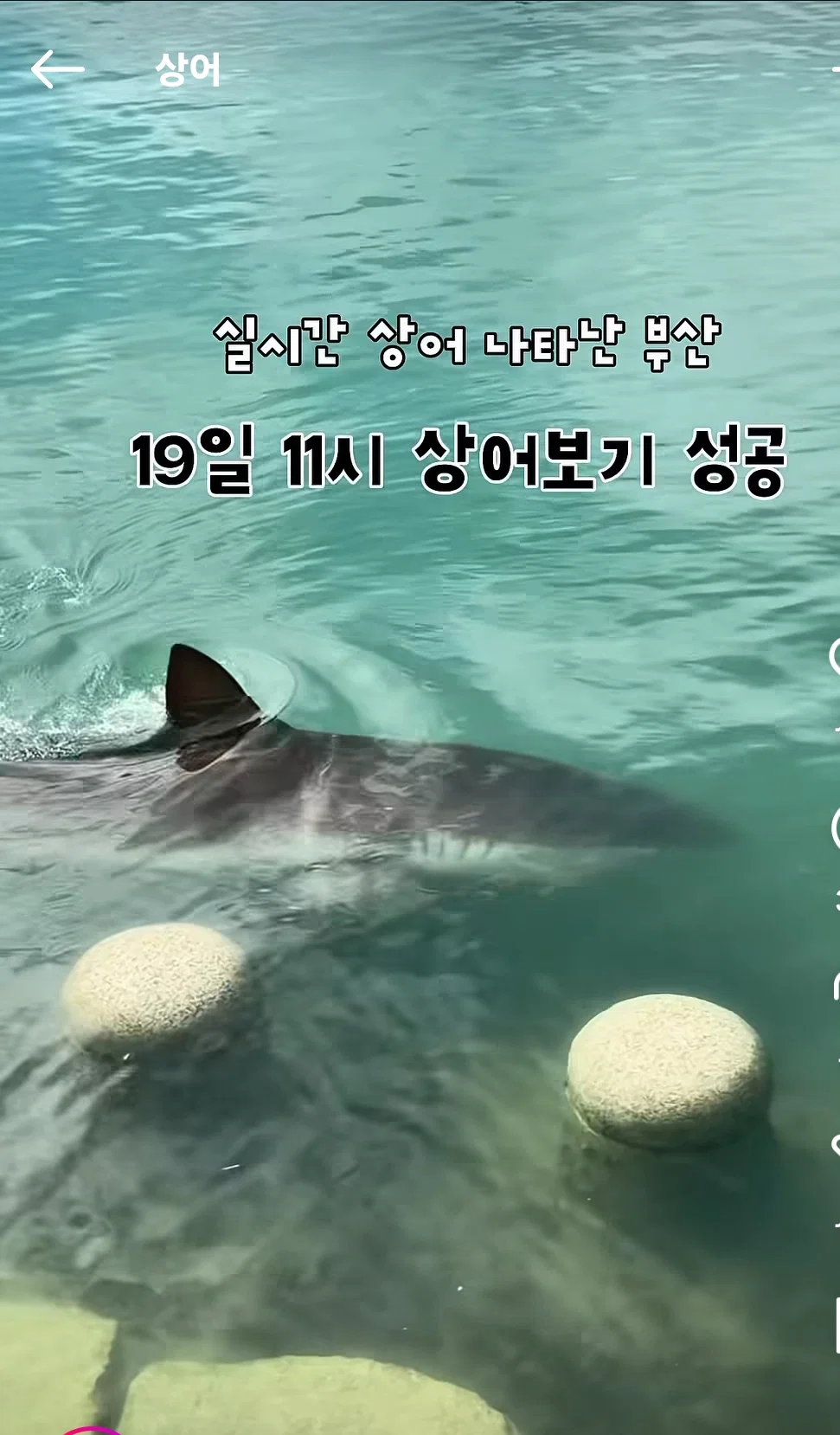 현 시각 부산에서 가장 핫한 곳이라는 부산항 (8)