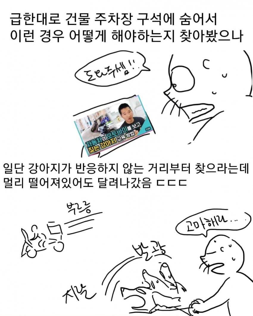 오토바이 무서워하는 강아지 교육하는 만화 (24)