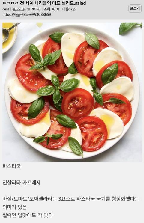 전 세계 나라들의 대표 샐러드