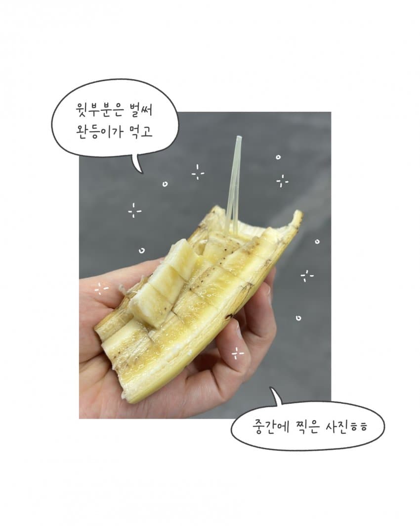 바나나 시식코너의 아줌마 (12)