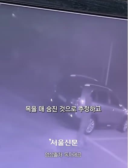 제주실종자가 발견 된 야자수 숲 가는 길을 밤에 직접 가본 기자.. (18)