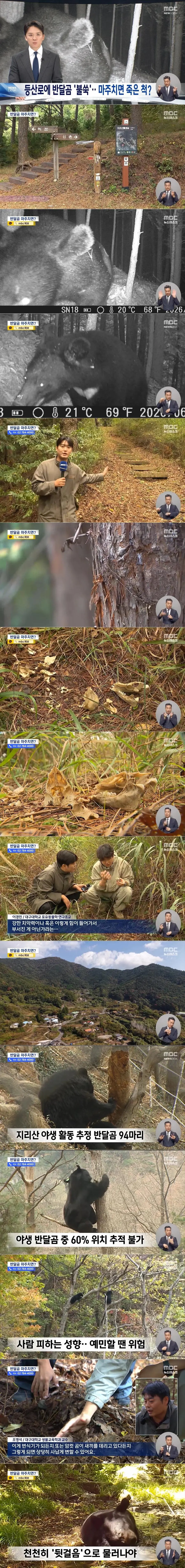 지리산 등산로 15m 옆에서 곰이 찍