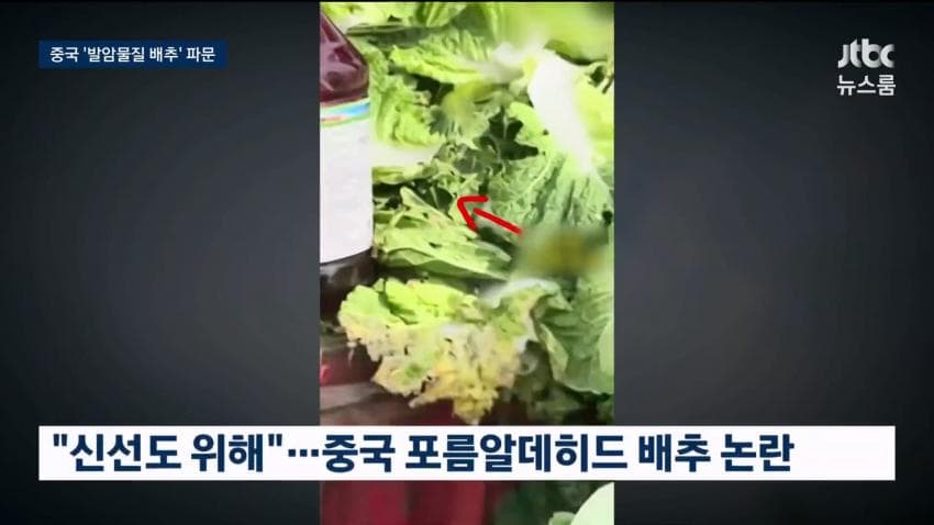 중국 배추 시신 보존제 발암물질 범벅…한국'중국산 김치'수입량 역대 최대 (7)