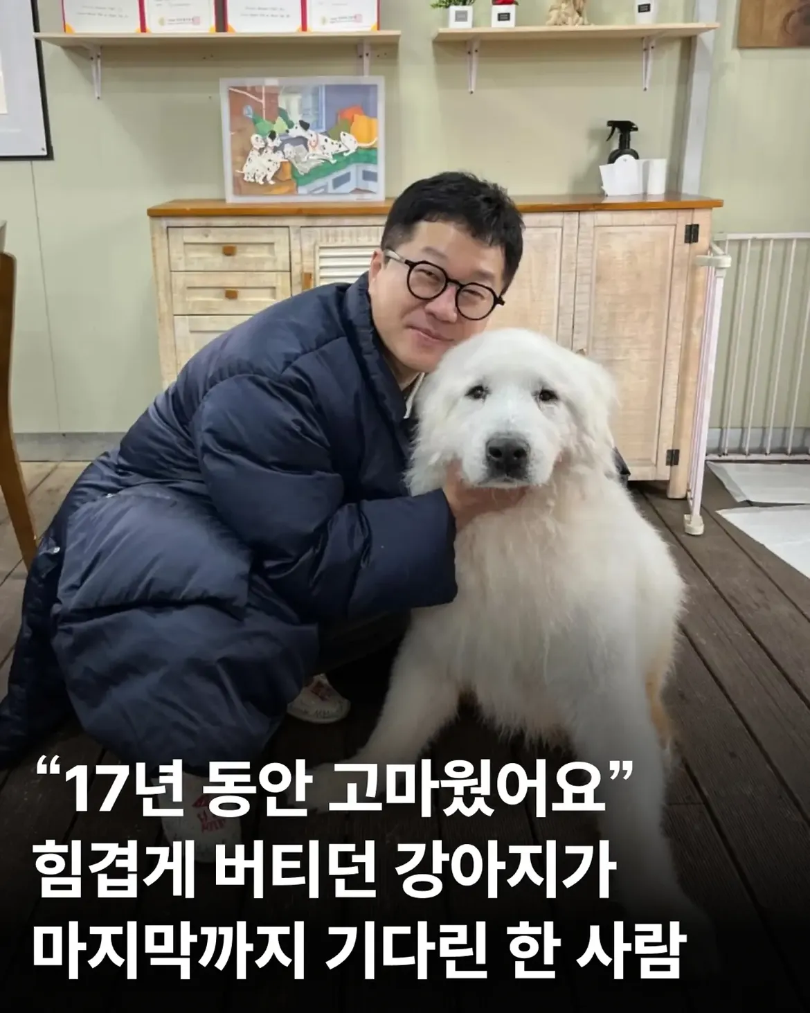 싱글벙글 17년동안 고마웠어요 힘겹게 버티던 댕댕이가 마지막까지 기다