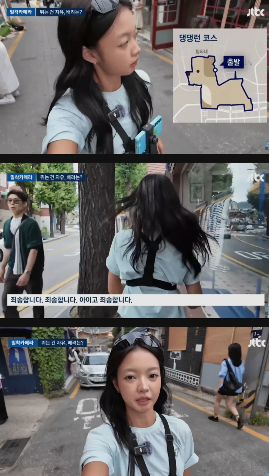 댕댕런 민폐러너들 때문에 몸살이라는 경복궁 (3)