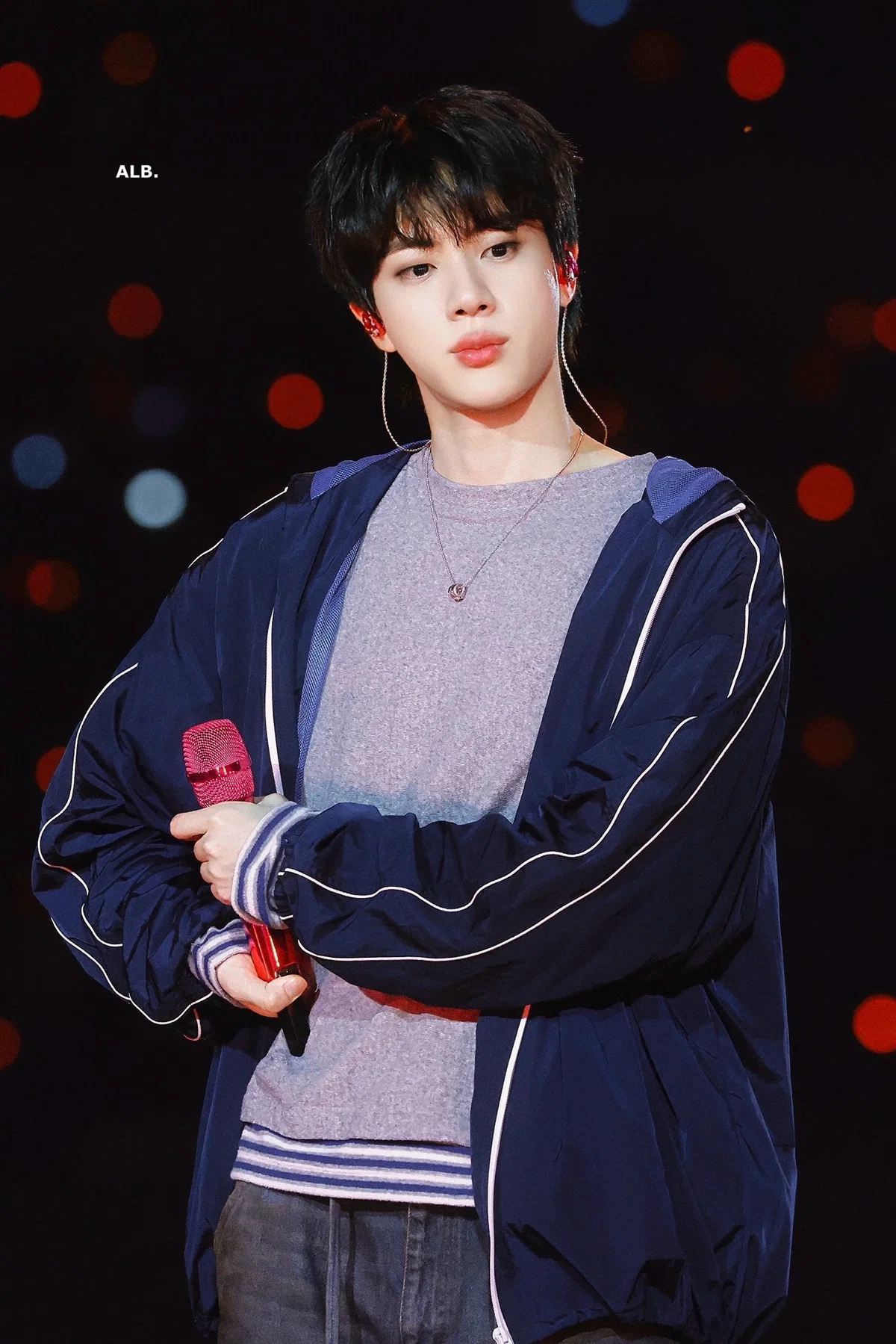 방탄소년단 진 LA 근황 (4)