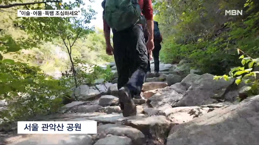 요즘 산행에 독뱀 조심하라네... (2)