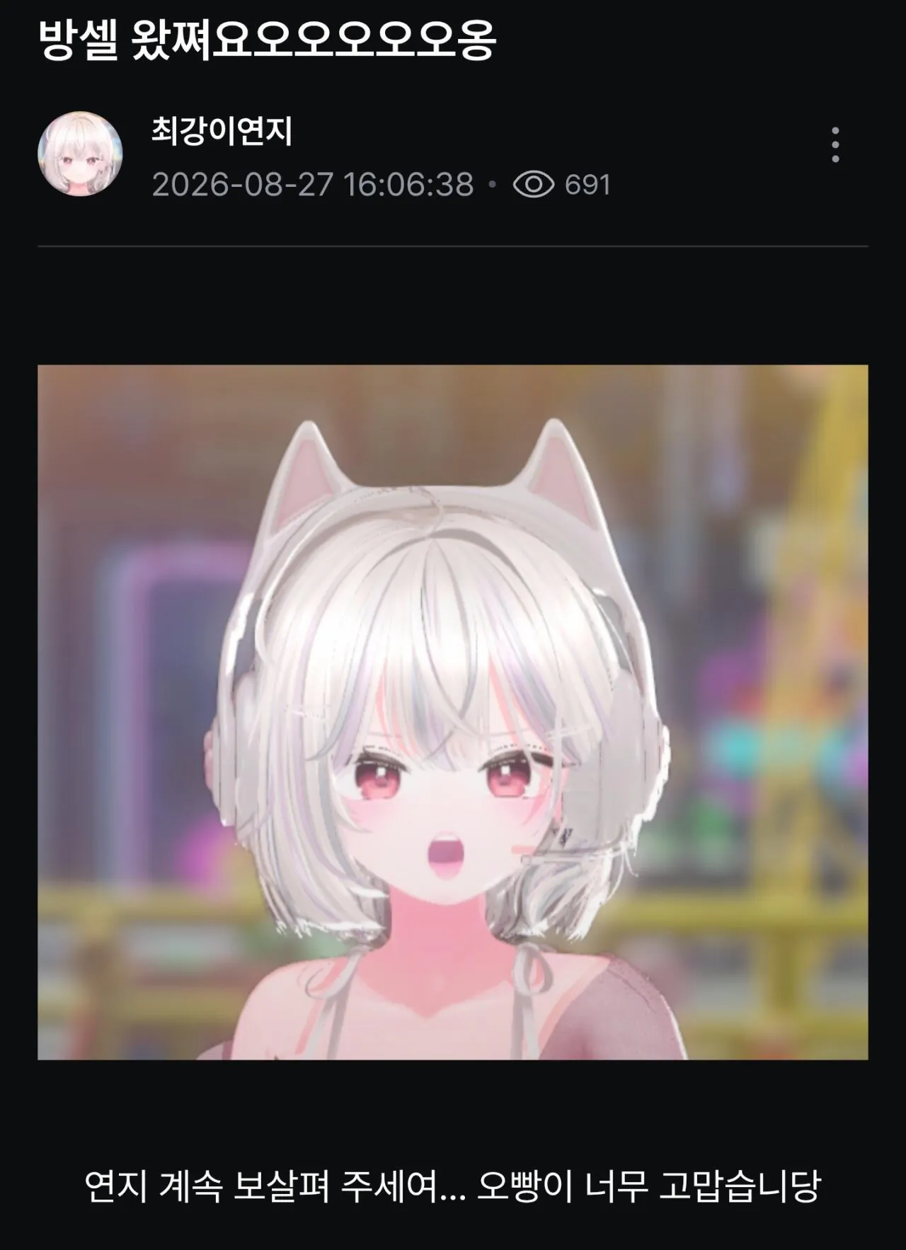 버튜버 주의) 하꼬 넷카마 버튜버에 속은 동료 스트리머 와 열혈 (2)