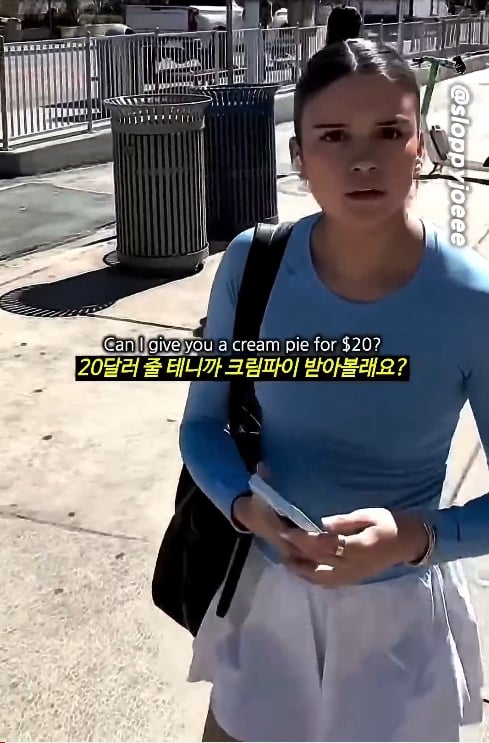 ㅇㅎ)20달러에 얼굴에 크림파이 가능한가요??? (13)