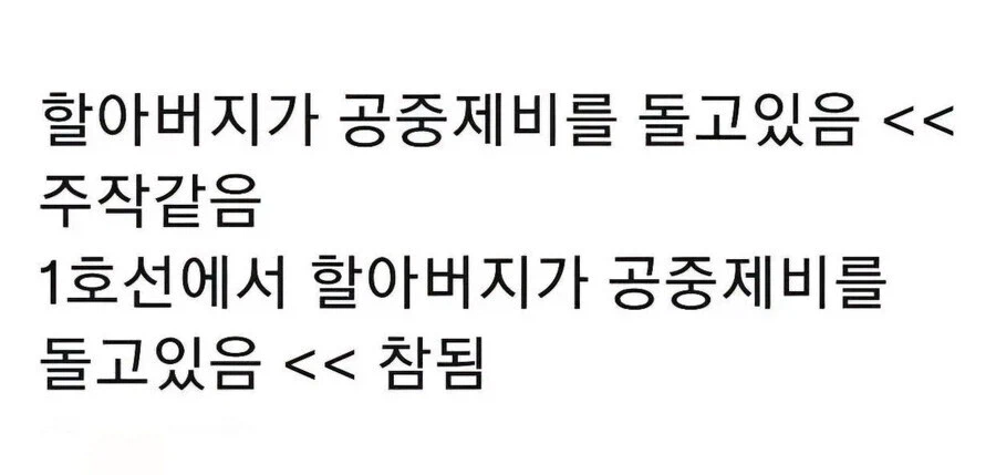 할아버지가 공중제비를 돌고 있음 - 주작같음