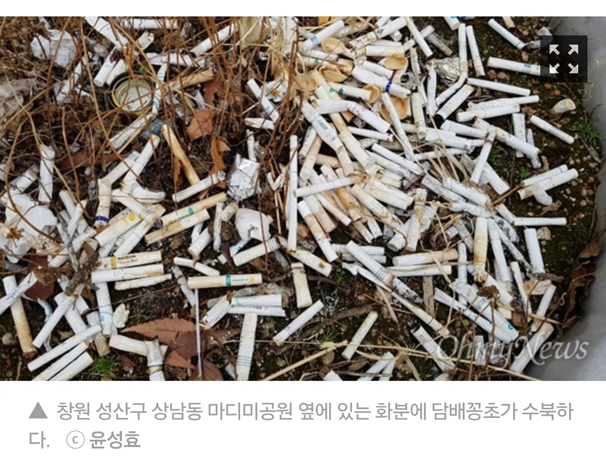 흡연자들이 흡연충이라고 욕먹는 이유 (5)