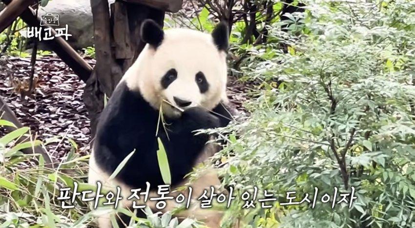 (속보)벡중원, 거짓말 시리즈 최신 (4)
