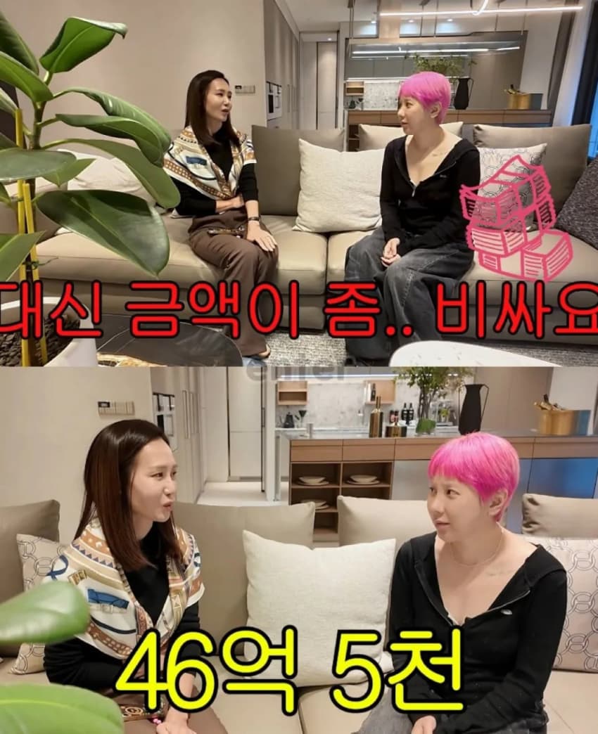 46억 집 구경하다 현타와서 우는 서인영 (7)